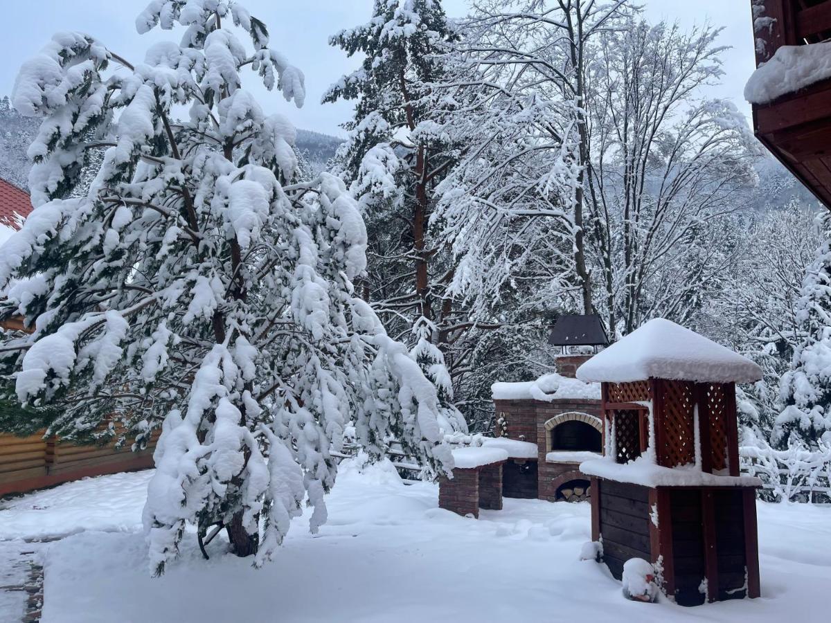 Villa Затишна De Luxe Mykulychyn Esterno foto