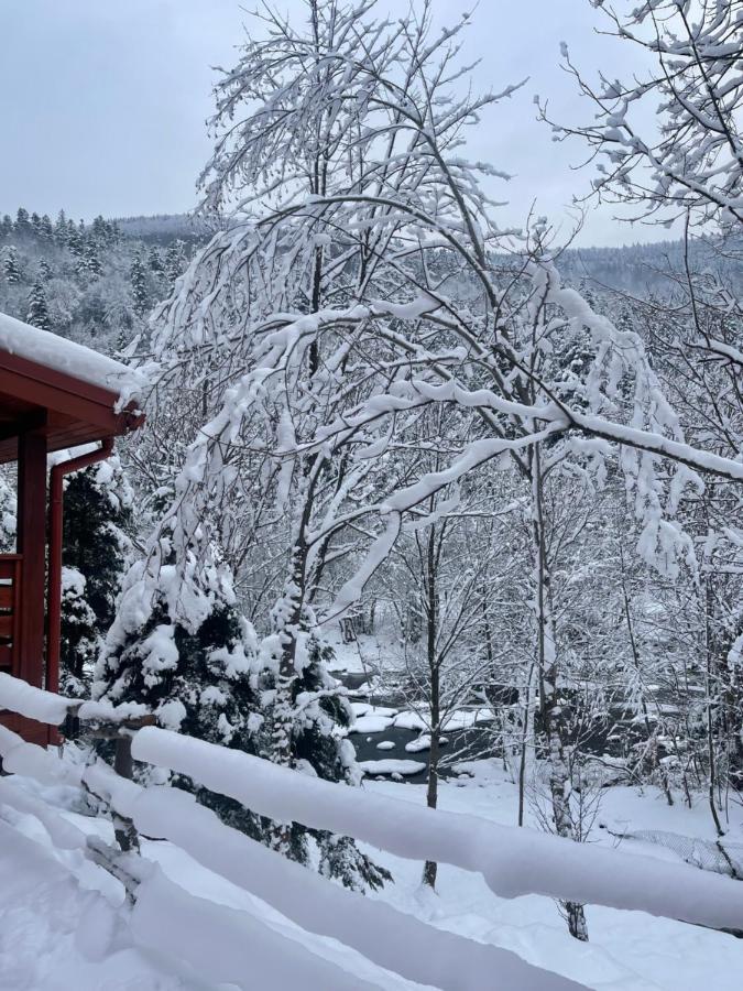 Villa Затишна De Luxe Mykulychyn Esterno foto